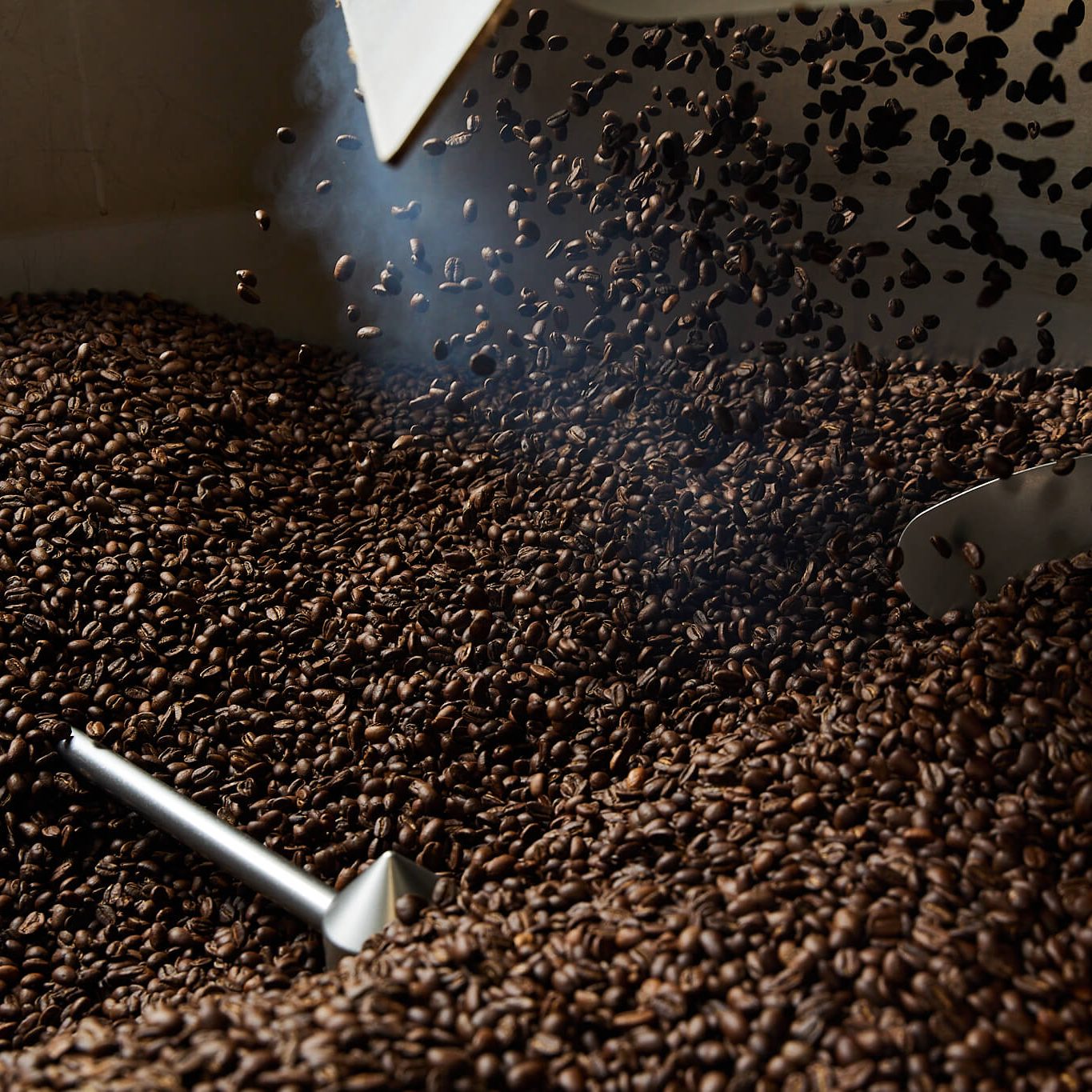 Dark brown coffee beans in a roasting machine. Some of the beans are actively being added to the machine.